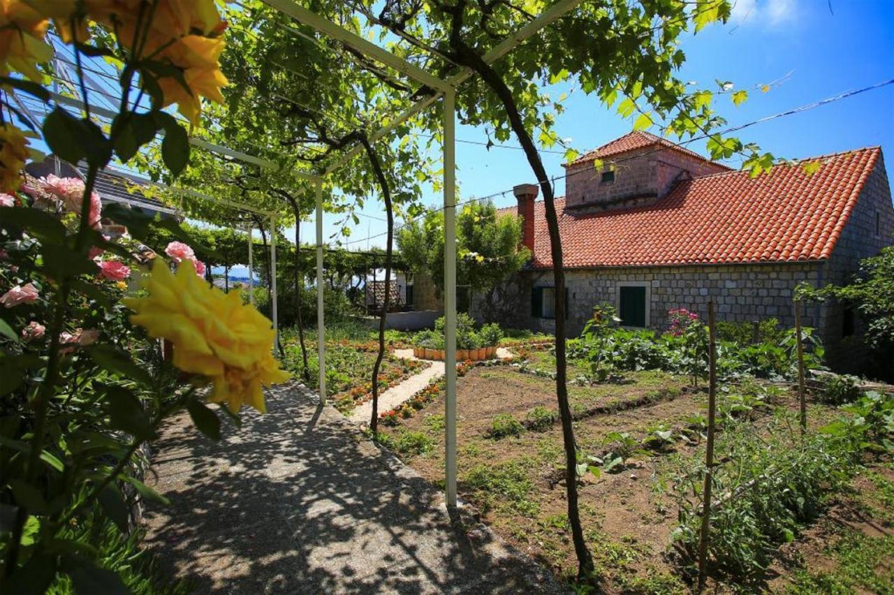 Apartment & Rooms Savonari Orasac Exteriér fotografie
